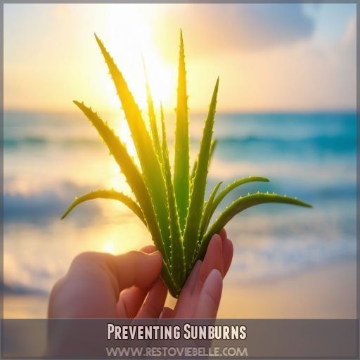 Preventing Sunburns