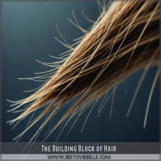 The Building Block of Hair