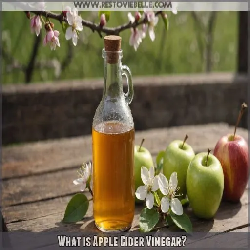 What is Apple Cider Vinegar