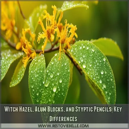 Witch Hazel, Alum Blocks, and Styptic Pencils: Key Differences