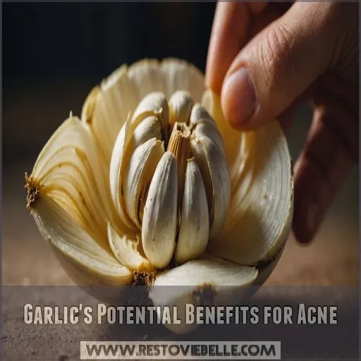 Garlic