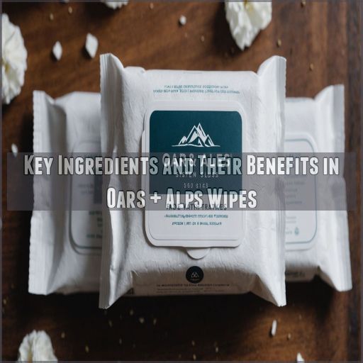 Key Ingredients and Their Benefits in Oars + Alps Wipes