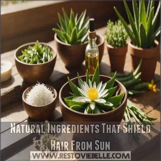 Natural Ingredients That Shield Hair From Sun