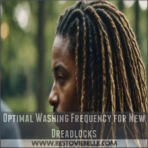 Optimal Washing Frequency for New Dreadlocks