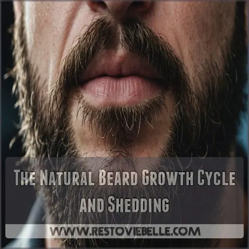 The Natural Beard Growth Cycle and Shedding