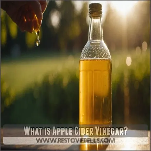 What is Apple Cider Vinegar