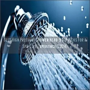 best high pressure shower head