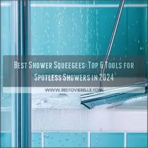 best shower squeegees