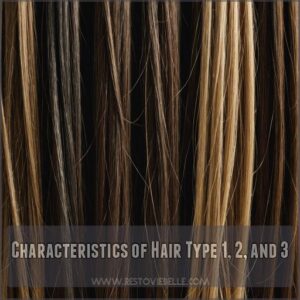 Characteristics of Hair Type 1, 2, and 3