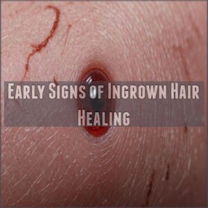 Early Signs of Ingrown Hair Healing