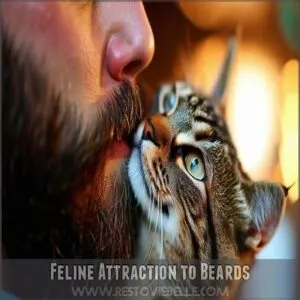 Feline Attraction to Beards