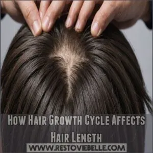 How Hair Growth Cycle Affects Hair Length