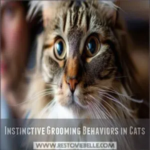 Instinctive Grooming Behaviors in Cats