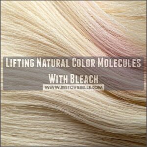 Lifting Natural Color Molecules With Bleach