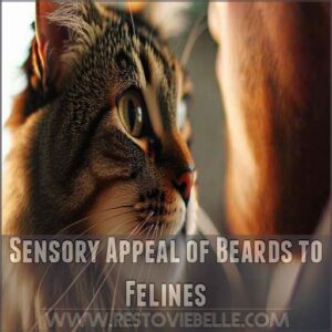 Sensory Appeal of Beards to Felines