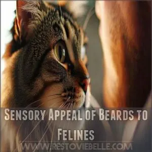 Sensory Appeal of Beards to Felines