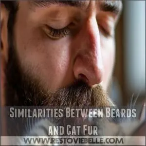 Similarities Between Beards and Cat Fur