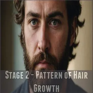 Stage 2 - Pattern of Hair Growth