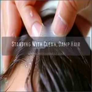 Starting With Clean, Damp Hair