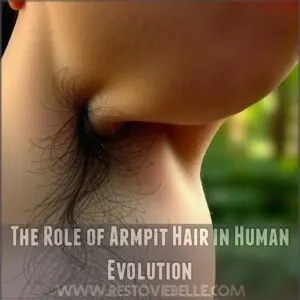 The Role of Armpit Hair in Human Evolution