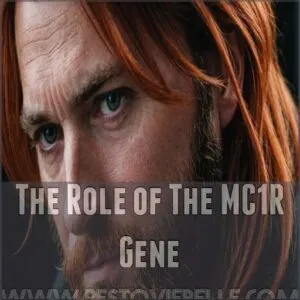 The Role of The MC1R Gene