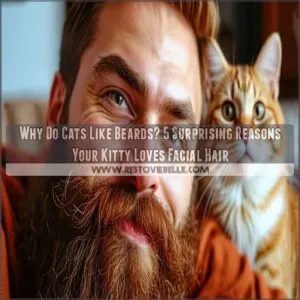 why do cats like beards