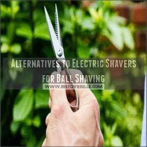 Alternatives to Electric Shavers for Ball Shaving