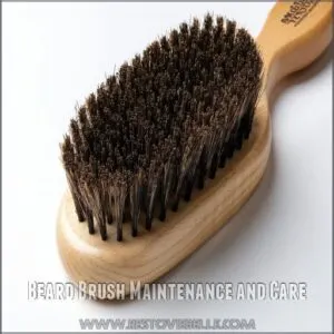 Beard Brush Maintenance and Care