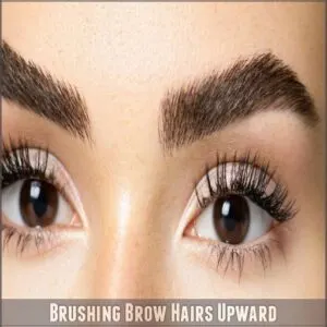 Brushing Brow Hairs Upward