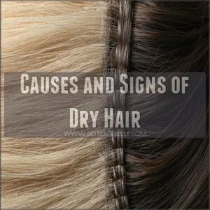 Causes and Signs of Dry Hair