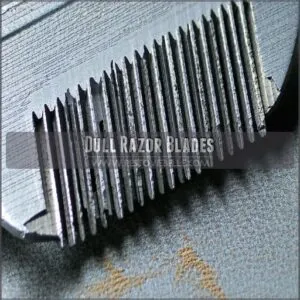 Dull Razor Blades