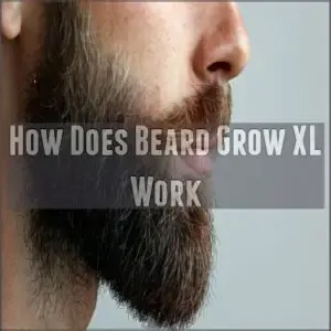 How Does Beard Grow XL Work