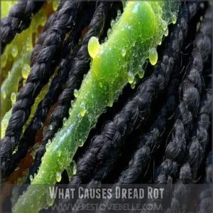 What Causes Dread Rot