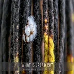 What is Dread Rot