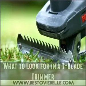 What to Look for in a T-Blade Trimmer