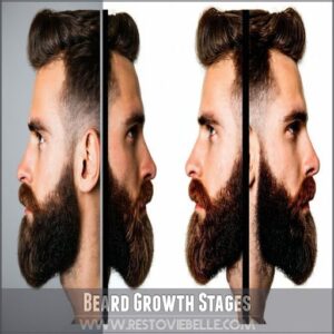 Beard Growth Stages