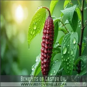 Benefits of Castor Oil