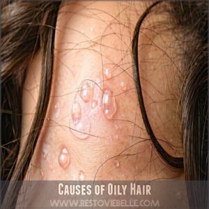 Causes of Oily Hair