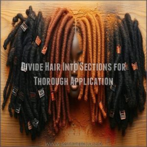 Divide Hair Into Sections for Thorough Application