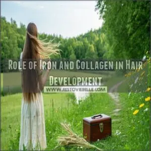 Role of Iron and Collagen in Hair Development