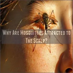 Why Are Mosquitoes Attracted to The Scalp